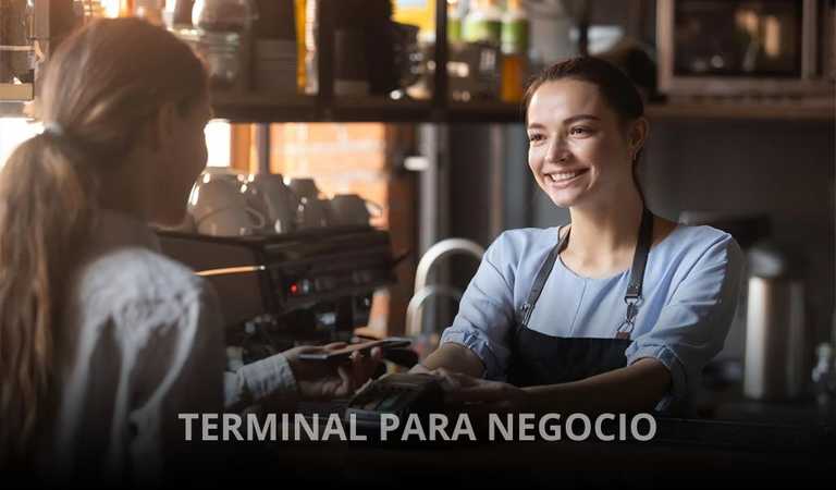 TERMINAL PARA NEGOCIO